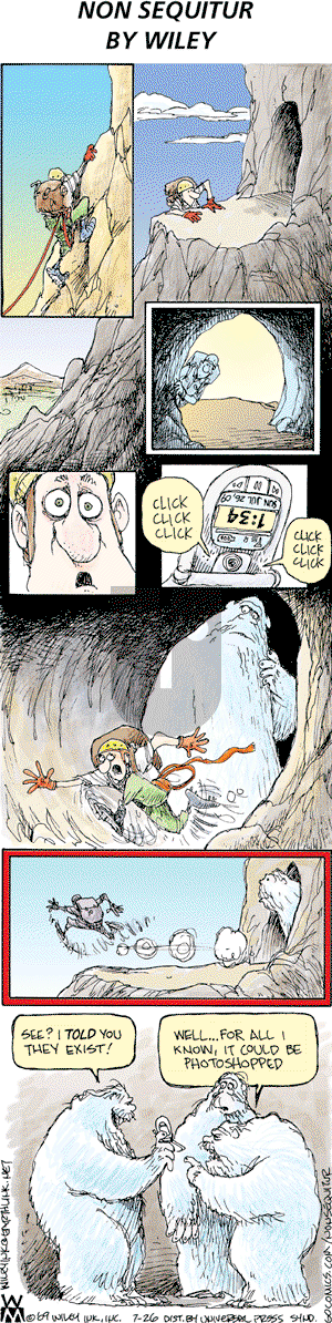 Non Sequitur on Sunday July 26, 2009 Comic Strip