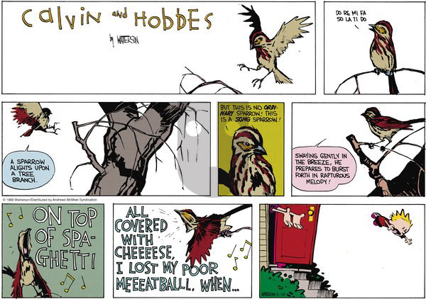 Calvin and Hobbes - Sunday June 16, 2019 Comic Strip