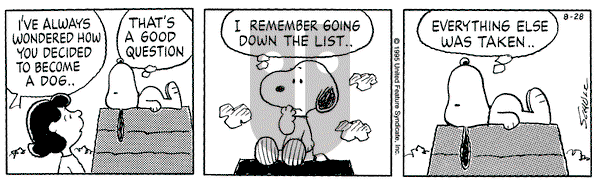 Peanuts on Monday August 28, 1995 Comic Strip