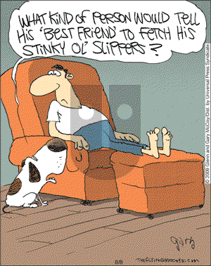 The Flying McCoys on Monday June 8, 2009 Comic Strip