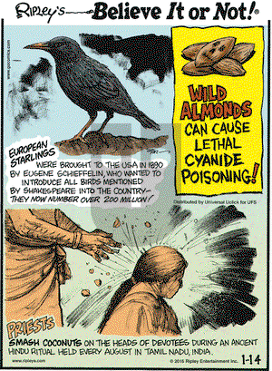 Ripley's Believe It or Not on Wednesday January 14, 2015 Comic Strip