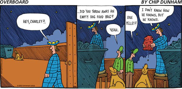 Overboard on Sunday February 26, 2012 Comic Strip