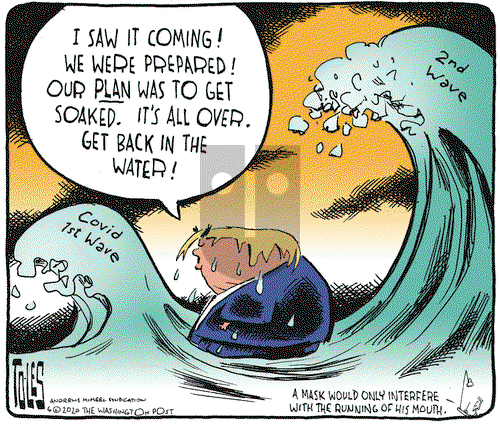 Tom Toles on Wednesday June 17, 2020 Comic Strip
