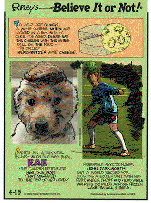 Ripley's Believe It or Not on Wednesday April 15, 2020 Comic Strip