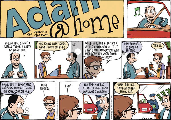Adam@Home on Sunday February 13, 2011 Comic Strip
