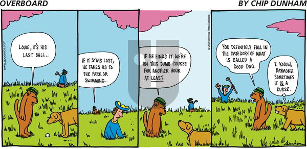 Overboard on Sunday June 28, 2009 Comic Strip