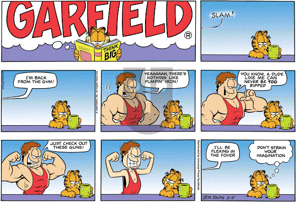 Garfield - Sunday February 15, 2009 Comic Strip