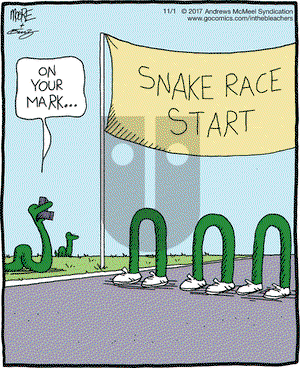 In the Bleachers on Wednesday November 1, 2017 Comic Strip