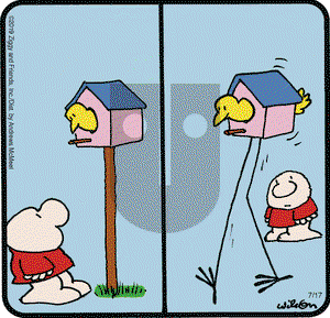 Ziggy on Wednesday July 17, 2019 Comic Strip