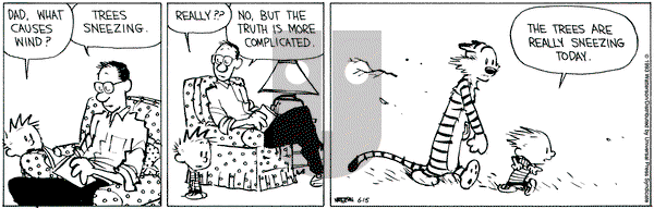 Calvin and Hobbes on Tuesday June 15, 1993 Comic Strip