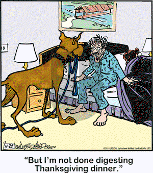 Marmaduke on Friday November 29, 2019 Comic Strip