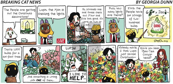 Breaking Cat News on Sunday December 6, 2020 Comic Strip