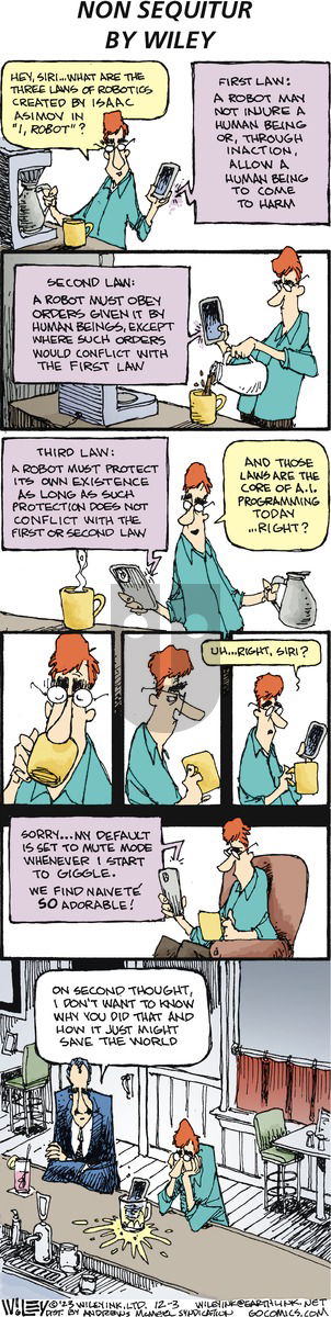 Non Sequitur - Sunday December 3, 2023 Comic Strip