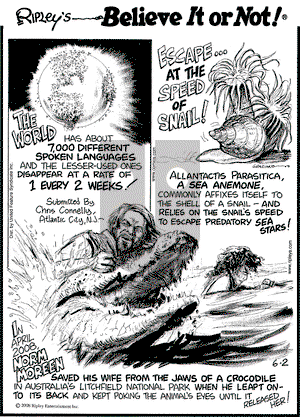Ripley's Believe It or Not on Monday June 2, 2008 Comic Strip