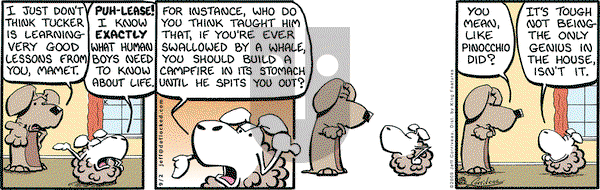 DeFlocked on Wednesday September 2, 2009 Comic Strip