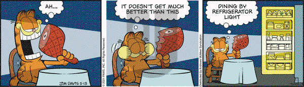 Garfield - Thursday May 13, 2021 Comic Strip