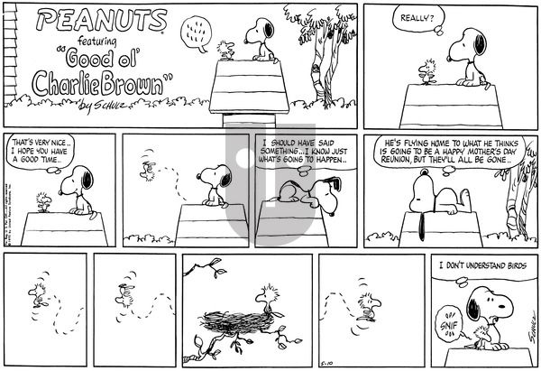 Peanuts on Sunday May 10, 1970 Comic Strip