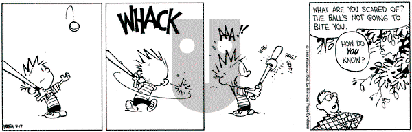 Calvin and Hobbes on Wednesday May 17, 1995 Comic Strip