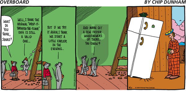 Overboard on Sunday August 10, 2008 Comic Strip