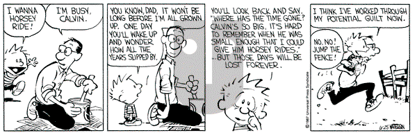 Calvin and Hobbes on Thursday June 25, 1987 Comic Strip