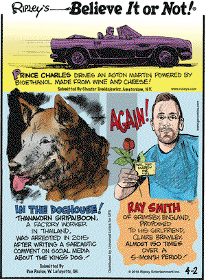 Ripley's Believe It or Not on Saturday April 2, 2016 Comic Strip