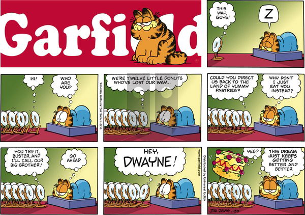 Garfield on Sunday January 30, 2011 Comic Strip
