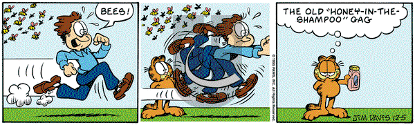 Garfield - Tuesday December 5, 1995 Comic Strip