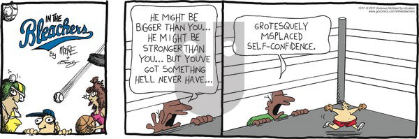 In the Bleachers on Sunday December 31, 2017 Comic Strip