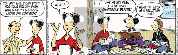 Baldo on Thursday May 22, 2003 Comic Strip