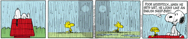 Peanuts on Tuesday October 28, 2003 Comic Strip