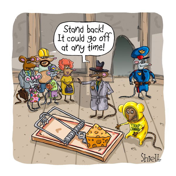 The Wandering Melon on Sunday June 8, 2025 Comic Strip