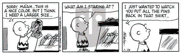 Peanuts on Saturday January 26, 1991 Comic Strip