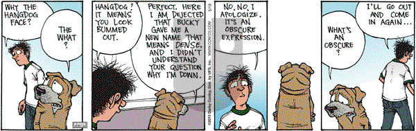 Get Fuzzy on Wednesday May 19, 2010 Comic Strip