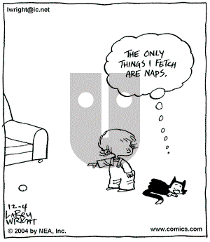 Kit 'N' Carlyle on Saturday December 4, 2004 Comic Strip