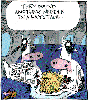 Reality Check on Thursday October 11, 2012 Comic Strip