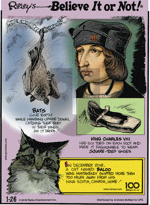 Ripley's Believe It or Not on Saturday January 26, 2019 Comic Strip