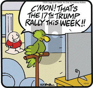 Ziggy on Saturday October 10, 2020 Comic Strip