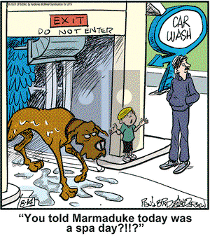 Marmaduke on Saturday August 14, 2021 Comic Strip