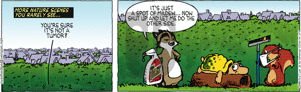 Over the Hedge on Wednesday July 2, 2014 Comic Strip