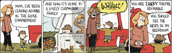 Wallace the Brave on Wednesday November 25, 2020 Comic Strip