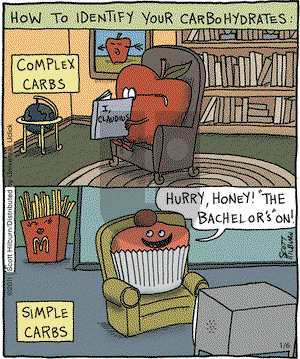 The Argyle Sweater on Thursday January 6, 2011 Comic Strip