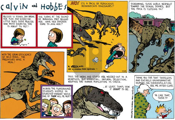 Calvin and Hobbes on Sunday November 29, 1992 Comic Strip