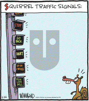 Reality Check on Wednesday May 26, 2021 Comic Strip
