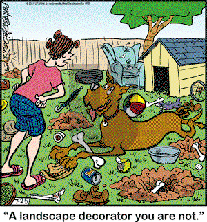 Marmaduke on Thursday July 25, 2019 Comic Strip