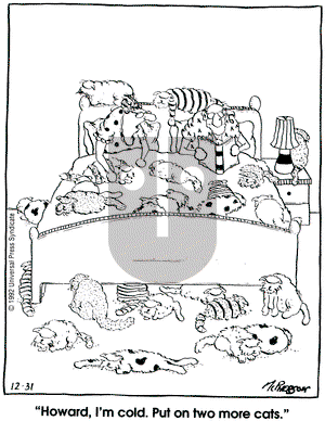 Close to Home on Thursday December 31, 1992 Comic Strip