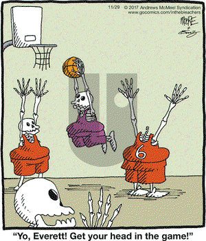 In the Bleachers on Wednesday November 29, 2017 Comic Strip