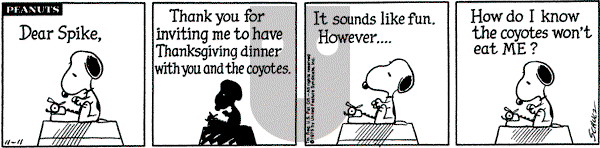 Peanuts - Tuesday November 11, 1975 Comic Strip