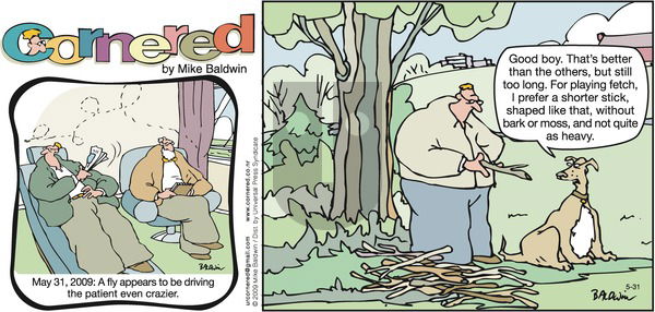 Cornered on Sunday May 31, 2009 Comic Strip
