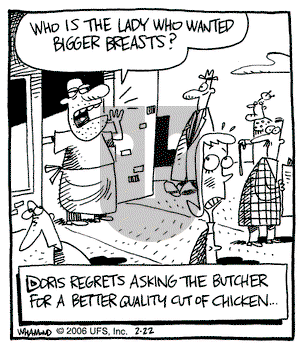 Reality Check on Wednesday February 22, 2006 Comic Strip