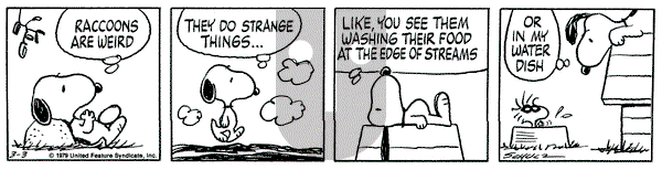 Peanuts on Saturday March 3, 1979 Comic Strip